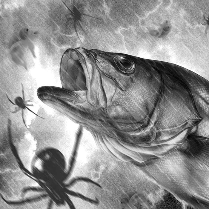 It's Raining Fish and Spiders
